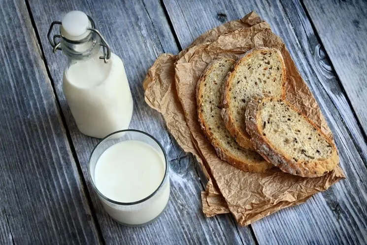 Al momento stai visualizzando Dieta senza lieviti e latticini
