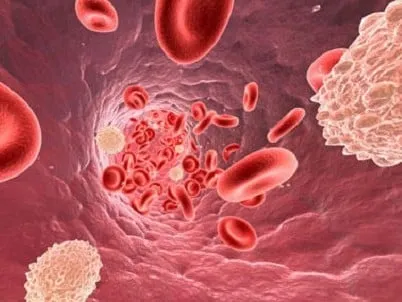 glucosio nel sangue