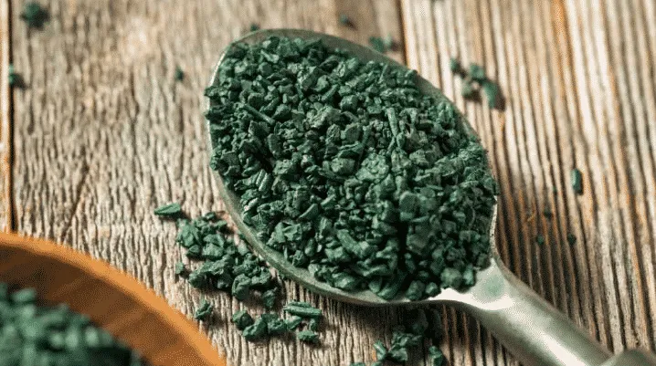 Al momento stai visualizzando Alga spirulina